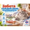 Almo Nature HFC для кошек, консервы из курицы с тыквой 70г