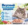 Almo Nature HFC для кошек, консервы из тунца и креветок 70г