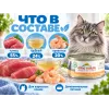 Almo Nature HFC для кошек, консервы из тунца и креветок 70г
