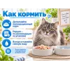 Almo Nature HFC для кошек, консервы из тунца и креветок 70г