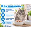 Almo Nature HFC для кошек, консервы из тунца и моллюсков 70г