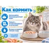 Almo Nature HFC для кошек из курицы и креветок, консерва 150 гр