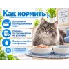 Almo Nature HFC для кошек из атлантического тунца, консервы 150г