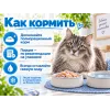 Almo Nature HFC для кошек из тунца и креветок, консервы 150г