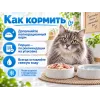 Almo Nature HFC для кошек из тунца и курицы, консервы 150 г