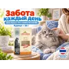 Almo Nature HFC Complete влажный корм для котят, с курицей пауч 55 г