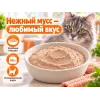 Влажный корм «Almo Nature» DAILY для кошек с лососем, тетрапак 90 гр