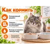 Влажный корм «Almo Nature» DAILY для кошек с лососем, тетрапак 90 гр