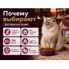 Акция 1+1: Award Hairball & Indoor — утка и индейка, 2×400 г
