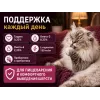 Акция 1+1: Award Hairball & Indoor — утка и индейка, 2×400 г