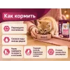Акция 1+1: Award Healthy Growth — индейка и курица для котят, 2×400 г