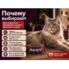 Акция 1+1: Award Indoor Big Cats — говядина и курица, 2×400 г