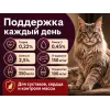 Акция 1+1: Award Indoor Big Cats — говядина и курица, 2×400 г