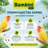 Bambini Pets корм для средних попугаев 800 г