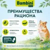 Bambini Pets корм для хомяков 800 г