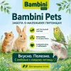 Bambini Pets корм для хомяков 800 г