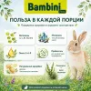 Bambini Pets корм для декоративных кроликов 400 г