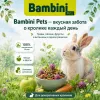 Bambini Pets корм для декоративных кроликов 400 г