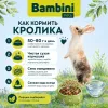 Bambini Pets корм для декоративных кроликов 800 г