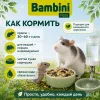 Bambini Pets корм для крыс и мышей 400 г