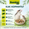 Bambini Pets корм для крыс и мышей 800 г