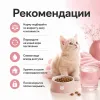 Dibaq Sense Cat Grain Free Kitten сухой беззерновой корм с индейкой и лососем для котят, 6 кг