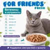For Friends Fresh Gravy влажный корм для кошек с курицей и уткой, 85 г