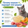 For Friends Fresh Weight Control влажный корм для кошек с тунцом, креветками и тыквой, 85 г