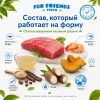 For Friends Fresh Weight Control влажный корм для кошек с тунцом, креветками и тыквой, 85 г