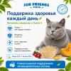 For Friends Fresh Weight Control влажный корм для кошек с тунцом, креветками и тыквой, 85 г