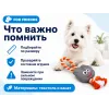 For Friends «Домовой» с канатом, игрушка для собак, 28 см