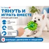 For Friends «Кольцо на верёвке», игрушка для собак, 35 см