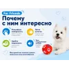 For Friends «Мяч с лапками» с пищалкой, виниловая игрушка для собак, 5 см