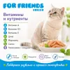 For Friends Fresh Jelly Chicken Strips влажный корм для котят и кошек с курицей и рисом, 85 г