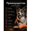 GO! Solutions Skin + Coat Salmon Recipe 22/12 11,34 кг сухой корм с лососем для собак