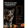GO! Solutions Skin + Coat Salmon Recipe 22/12 11,34 кг сухой корм с лососем для собак