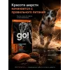 GO! Solutions Skin + Coat Salmon Recipe 22/12 11,34 кг сухой корм с лососем для собак