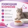Gemon Adult Cat Paté with Beef влажный корм-паштет для взрослых кошек с говядиной, 400 г