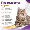 Gemon Cat Adult Complete сухой корм для взрослых кошек с курицей и индейкой, 2 кг
