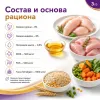 Gemon Cat Adult Complete сухой корм для взрослых кошек с курицей и индейкой, 2 кг