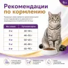 Gemon Cat Adult Complete сухой корм для взрослых кошек с курицей и индейкой, 2 кг