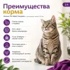 Gemon Cat Adult Complete сухой корм для взрослых кошек с курицей и индейкой, 7 кг