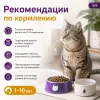 Gemon Cat Adult Complete сухой корм для взрослых кошек с курицей и индейкой, 7 кг