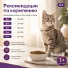Gemon Cat Adult Complete сухой корм для взрослых кошек с тунцом и лососем, 7 кг