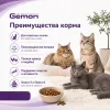 Gemon Cat Adult Complete сухой корм для взрослых кошек с курицей и индейкой, 20 кг