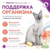 Gemon Cat Adult Salmon/Shrimps влажный корм для взрослых кошек с лососем и креветками, 415 г