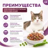 Gemon Cat влажный корм для кошек с кусочками говядины и овощами, 100 г