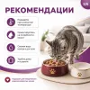 Gemon Cat влажный корм для кошек с кусочками говядины и овощами, 100 г