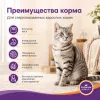 Gemon Cat Sterilised сухой корм для стерилизованных кошек с индейкой, 7 кг