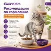 Gemon Cat Sterilised сухой корм для стерилизованных кошек с индейкой, 7 кг
